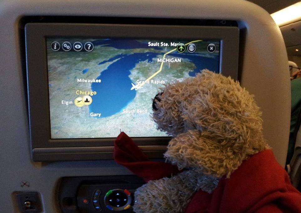 Pocker, Il DogTrotter Che Promuove I Canili In Viaggio Per Il Mondo
