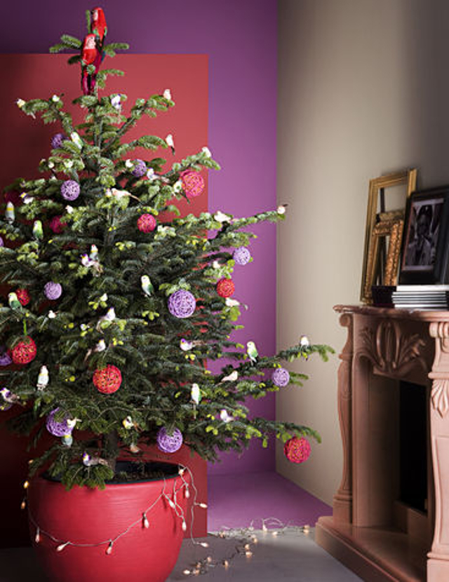 Natale Low Cost: alberi di natale creativi... anche senza aghi!