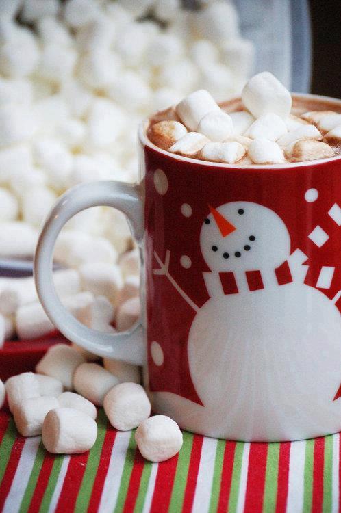 Dolce... Natale! Le Torte Più Belle per le Vostre Feste