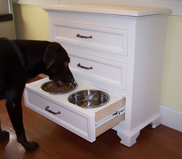 Le 43 migliori invenzioni per cani