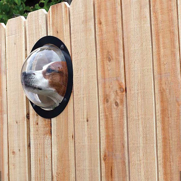 Le 43 migliori invenzioni per cani