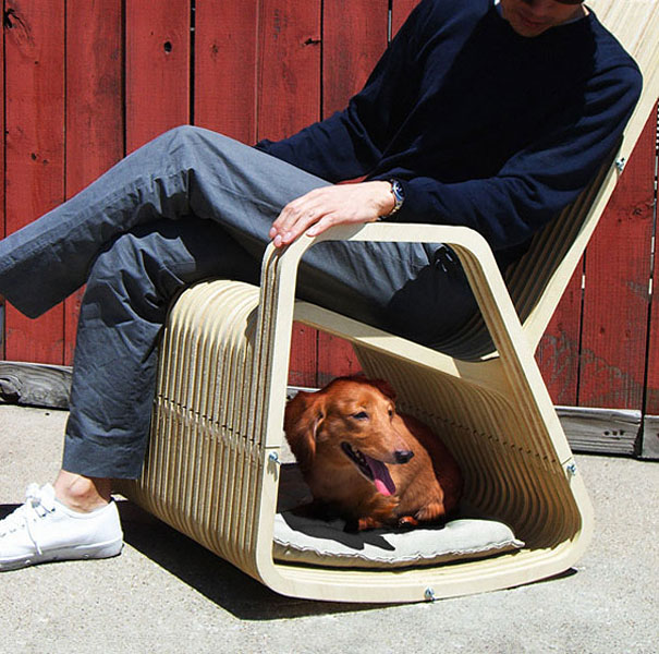 Le 43 migliori invenzioni per cani