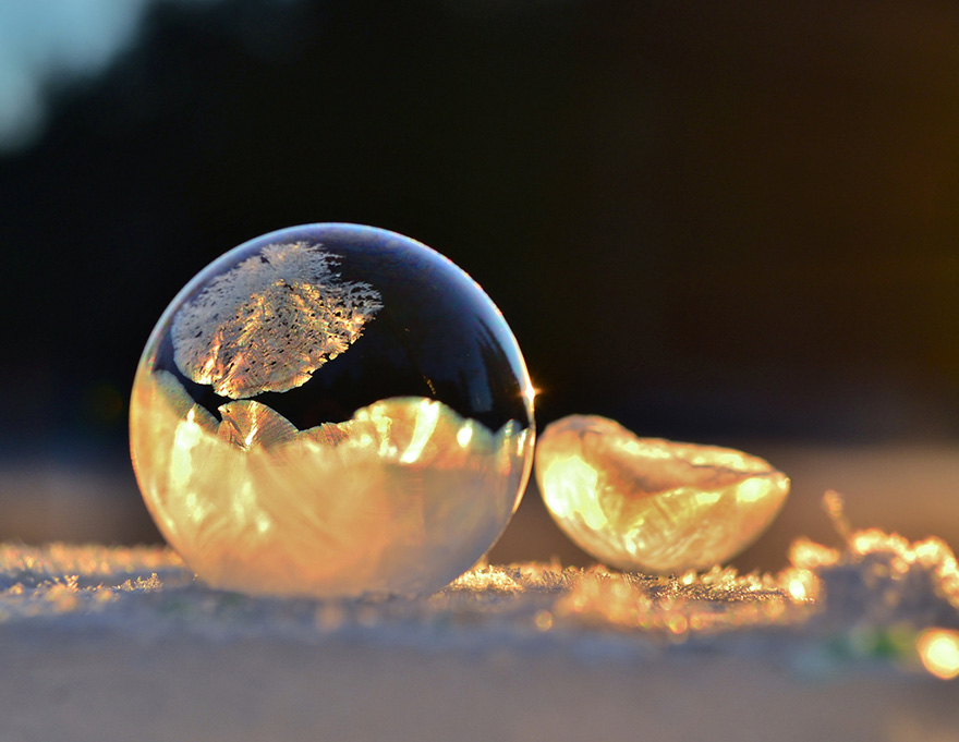 Incredibili Opere d'Arte Naturali di Ghiaccio e Neve