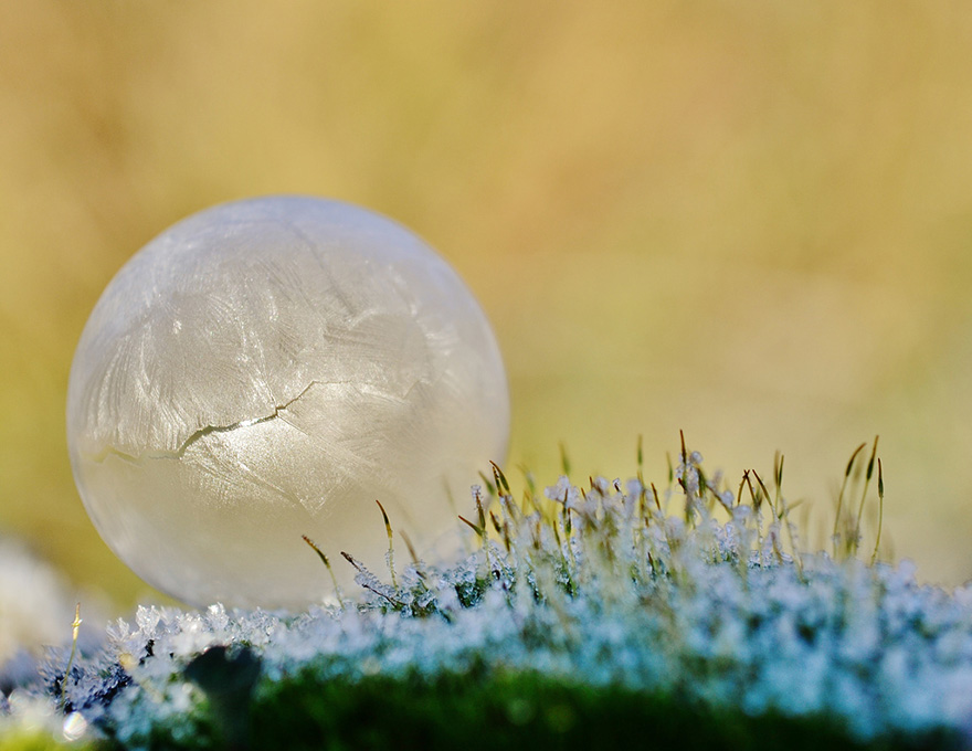 Incredibili Opere d'Arte Naturali di Ghiaccio e Neve