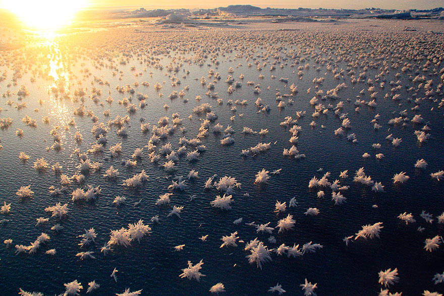 Incredibili Opere d'Arte Naturali di Ghiaccio e Neve