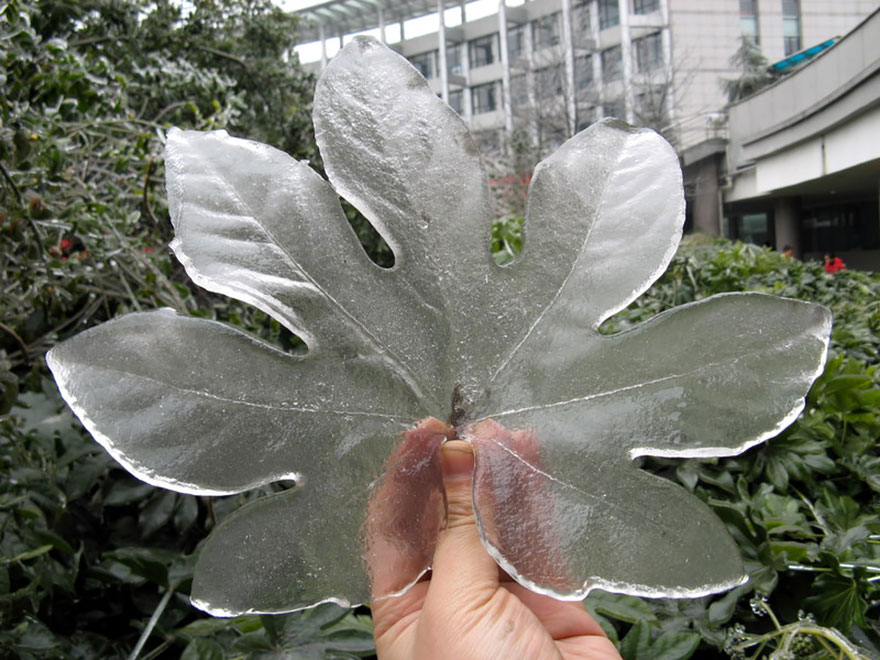 Incredibili Opere d'Arte Naturali di Ghiaccio e Neve