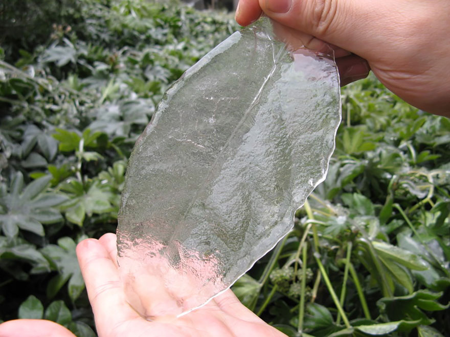 Incredibili Opere d'Arte Naturali di Ghiaccio e Neve