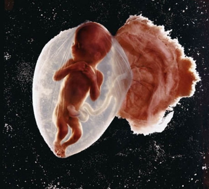 45 Foto Incredibili Senza L'Aiuto di Photoshop
