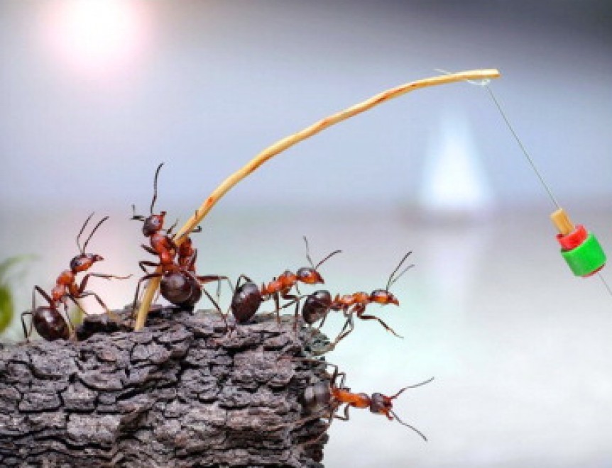 45 Foto Incredibili Senza L'Aiuto di Photoshop