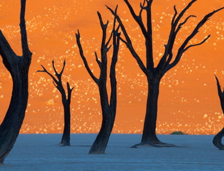 45 Foto Incredibili Senza L'Aiuto di Photoshop