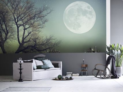 Stanchi delle Solite Pareti Monocromatiche? Ecco Come Creare un'Atmosfera Unica! Stanchi delle Solite Pareti Monocromatiche? Ecco Come Creare un'Atmosfera Unica!