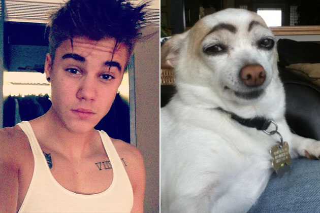 Trova le Differenze: 26 Animali che Assomigliano Incredibilmente a dei VIP