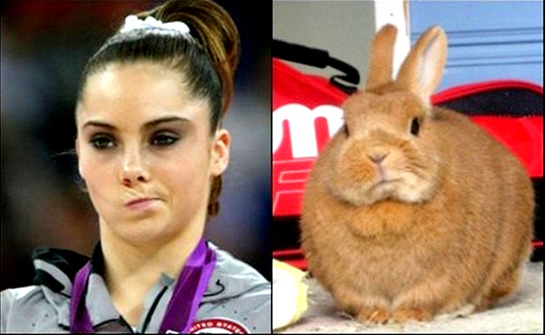 Trova le Differenze: 26 Animali che Assomigliano Incredibilmente a dei VIP