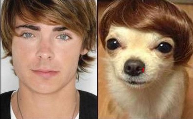 Trova le Differenze: 26 Animali che Assomigliano Incredibilmente a dei VIP