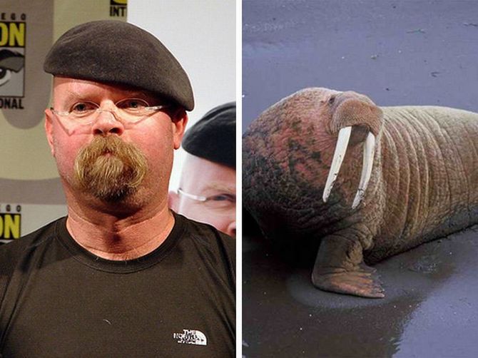 Trova le Differenze: 26 Animali che Assomigliano Incredibilmente a dei VIP