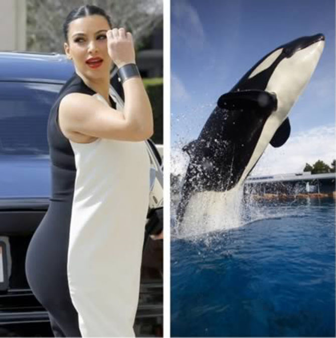 Trova le Differenze: 26 Animali che Assomigliano Incredibilmente a dei VIP