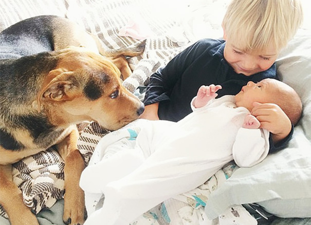 La Tenera Nanna del Trio Più Dolce di Sempre che ha Conquistato il Web