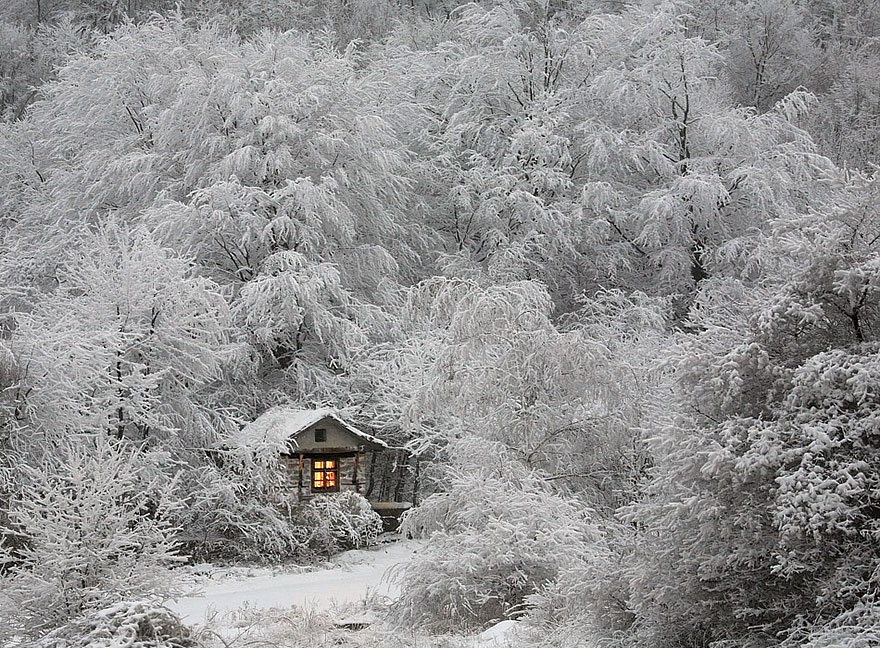 20 Suggestive Case Immerse nei Maestosi Paesaggi Invernali
