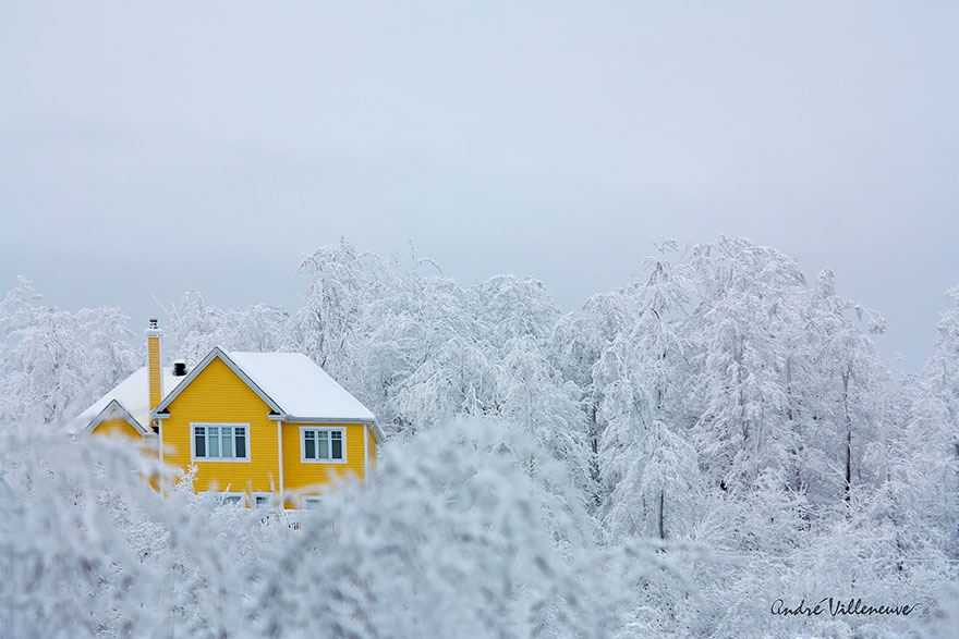 20 Suggestive Case Immerse nei Maestosi Paesaggi Invernali