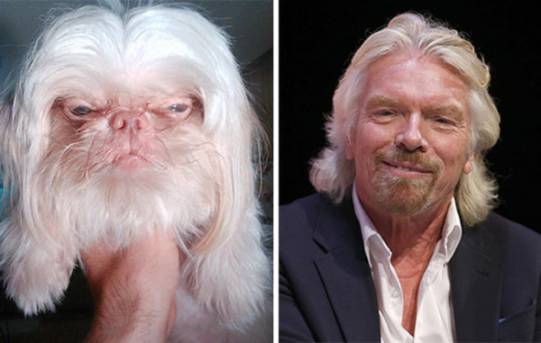 Trova le Differenze: 26 Animali che Assomigliano Incredibilmente a dei VIP