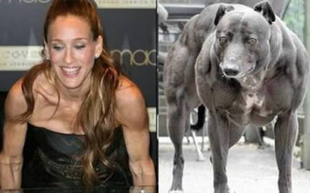 Trova le Differenze: 26 Animali che Assomigliano Incredibilmente a dei VIP