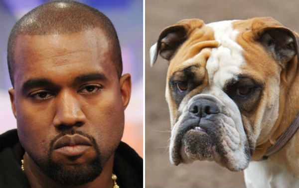 Trova le Differenze: 26 Animali che Assomigliano Incredibilmente a dei VIP
