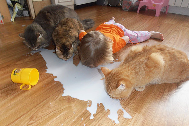 Bambini Che si Comportano Come i Loro Amici a 4 Zampe