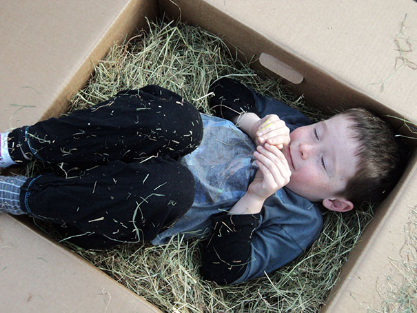 Bambini Che si Comportano Come i Loro Amici a 4 Zampe