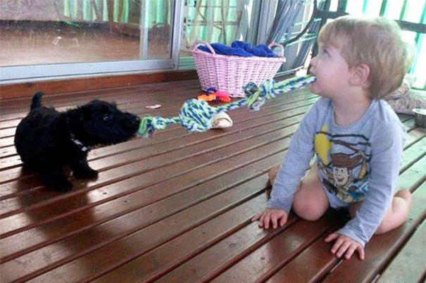 Bambini Che si Comportano Come i Loro Amici a 4 Zampe