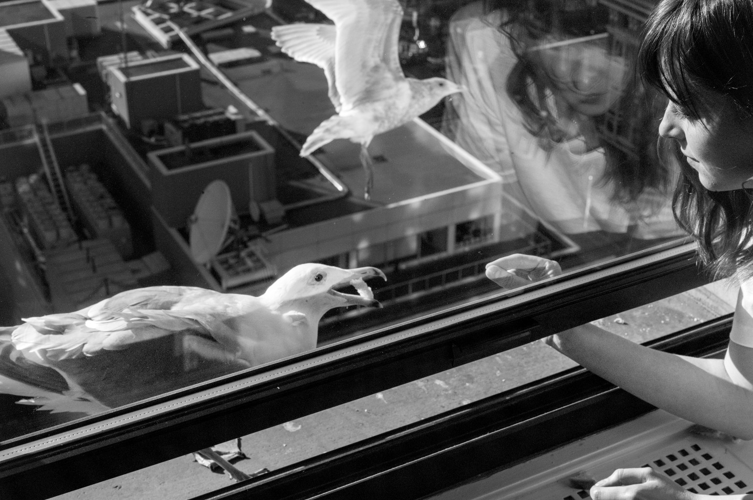 50 Sfumature di Grigio: le Esclusive Immagini Hot Dietro le Quinte