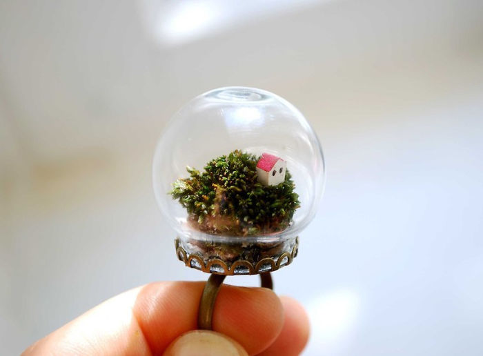 22 Anelli Creativi che Nasconondo Scene Magiche
