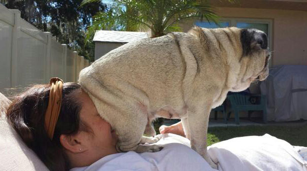 Non solo gli Uomini... a volte anche i Cani possono essere Str****