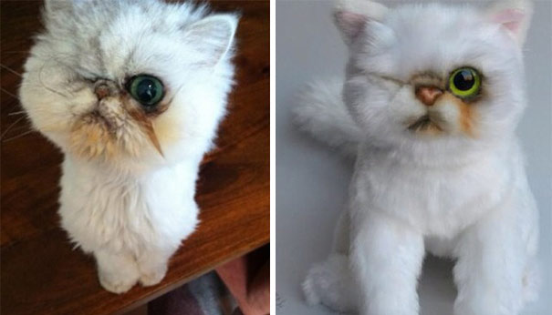 L'Azienda che Realizza il Clone di Peluche del tuo Gatto o Cane