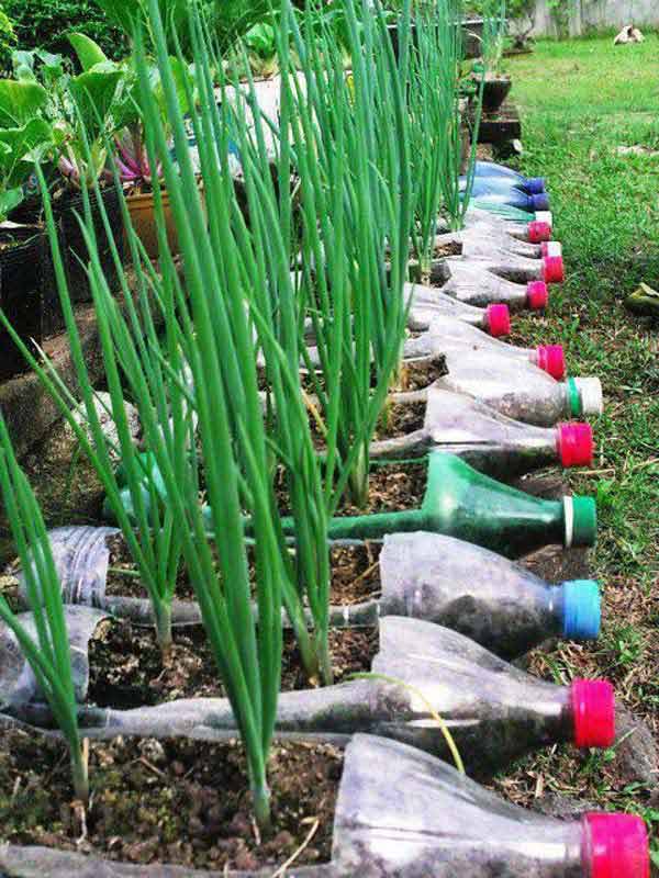 30 Modi Creativi Per Riciclare la Plastica