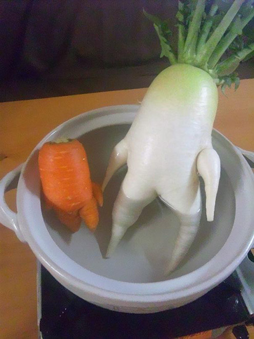 18 Verdure che si sono Dimenticate di essere degli Ortaggi