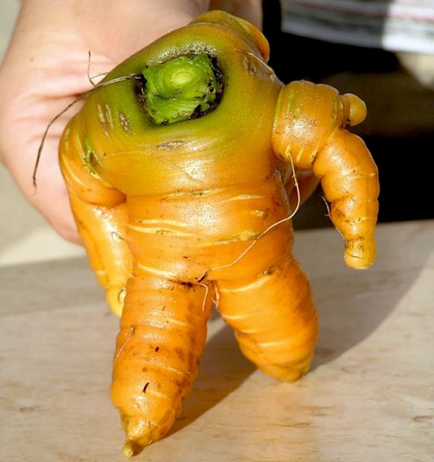 18 Verdure che si sono Dimenticate di essere degli Ortaggi