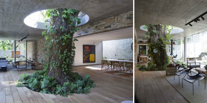 Idee dal Design Unico che Trasformeranno la tua Casa in un posto Magico