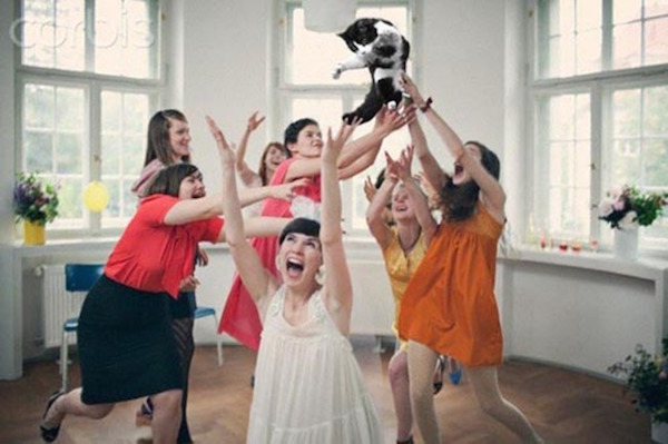 La folle Gallery di Spose che Sostituiscono il Bouquet con un Gatto