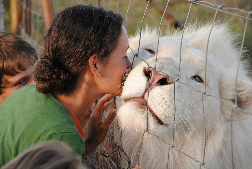 21 Animali Albini che Non Potrai Credere Esistano