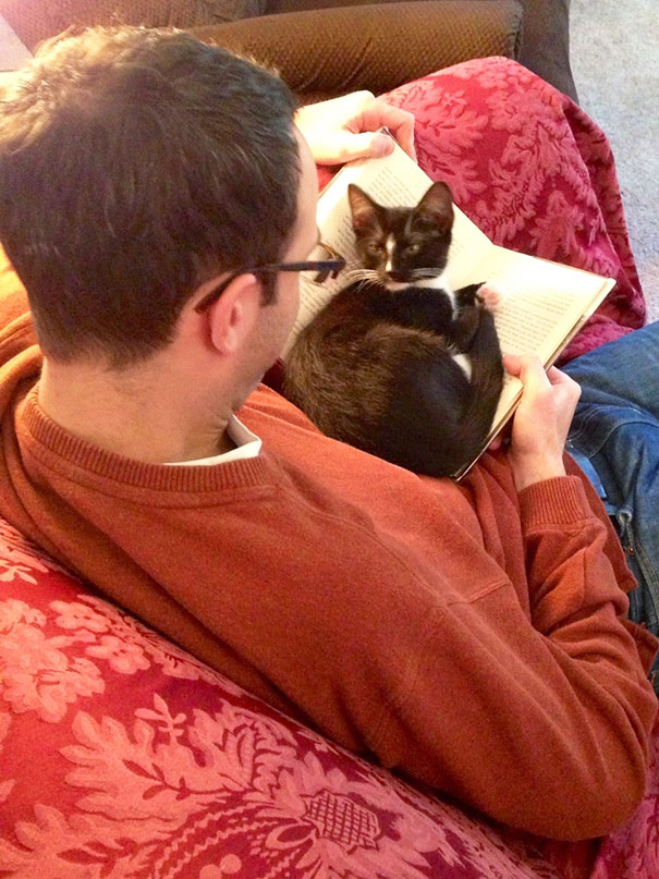 Gatti che Non Hanno Nessuna Intenzione di Farti Leggere