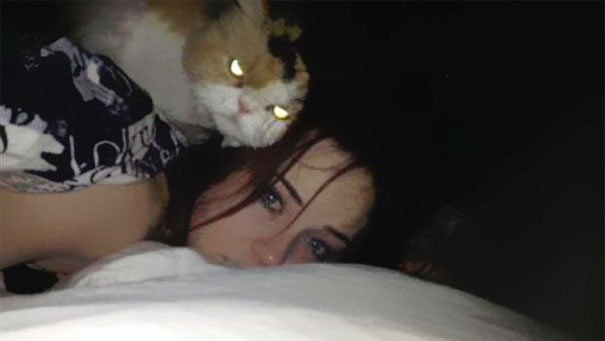 25 Foto che Provano che il tuo Gatto vorrebbe Ucciderti