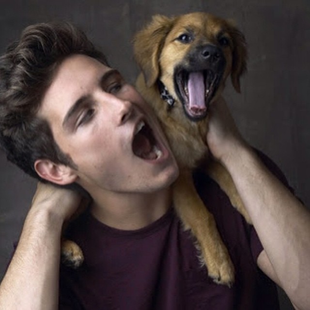 Uomini con i loro Cani: chi è più Sexy tra i due?