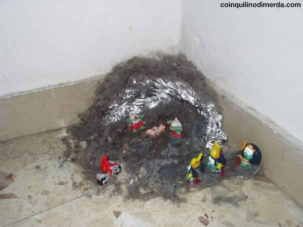 Coinquilini di M.... Quando Coabitare è un Vero Incubo!