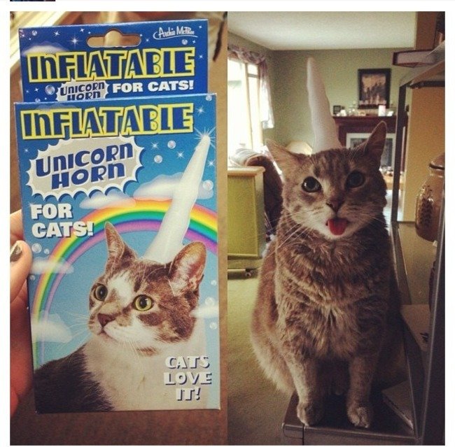 Oggetti che Gli Amanti degli Unicorni Vorranno Assolutamente