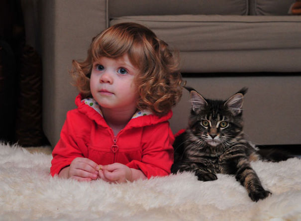 Fotografie che ti Dimostrano l'Importanza di Avere un Gatto per i Bambini