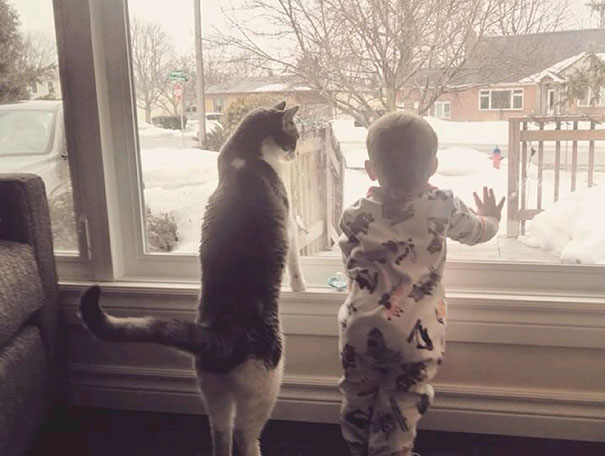 Fotografie che ti Dimostrano l'Importanza di Avere un Gatto per i Bambini