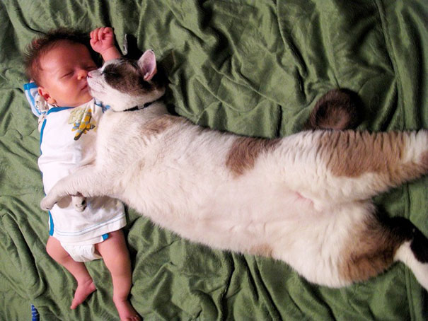 Fotografie che ti Dimostrano l'Importanza di Avere un Gatto per i Bambini