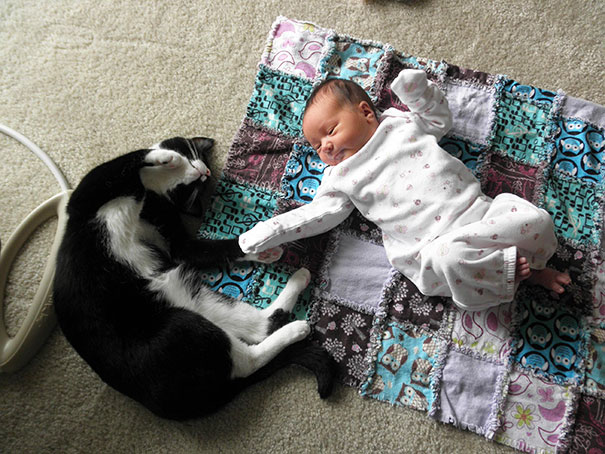 Fotografie che ti Dimostrano l'Importanza di Avere un Gatto per i Bambini