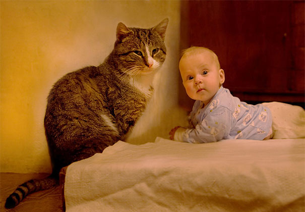 Fotografie che ti Dimostrano l'Importanza di Avere un Gatto per i Bambini