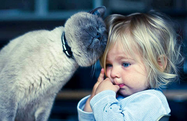 Fotografie che ti Dimostrano l'Importanza di Avere un Gatto per i Bambini